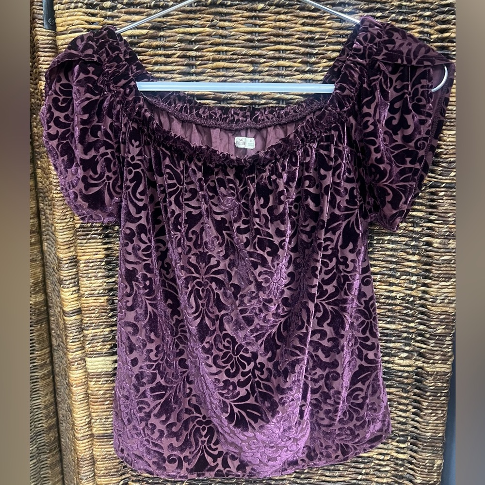 Hollister- Junior‎ Fashion top- Size: XS, Pre-Owned